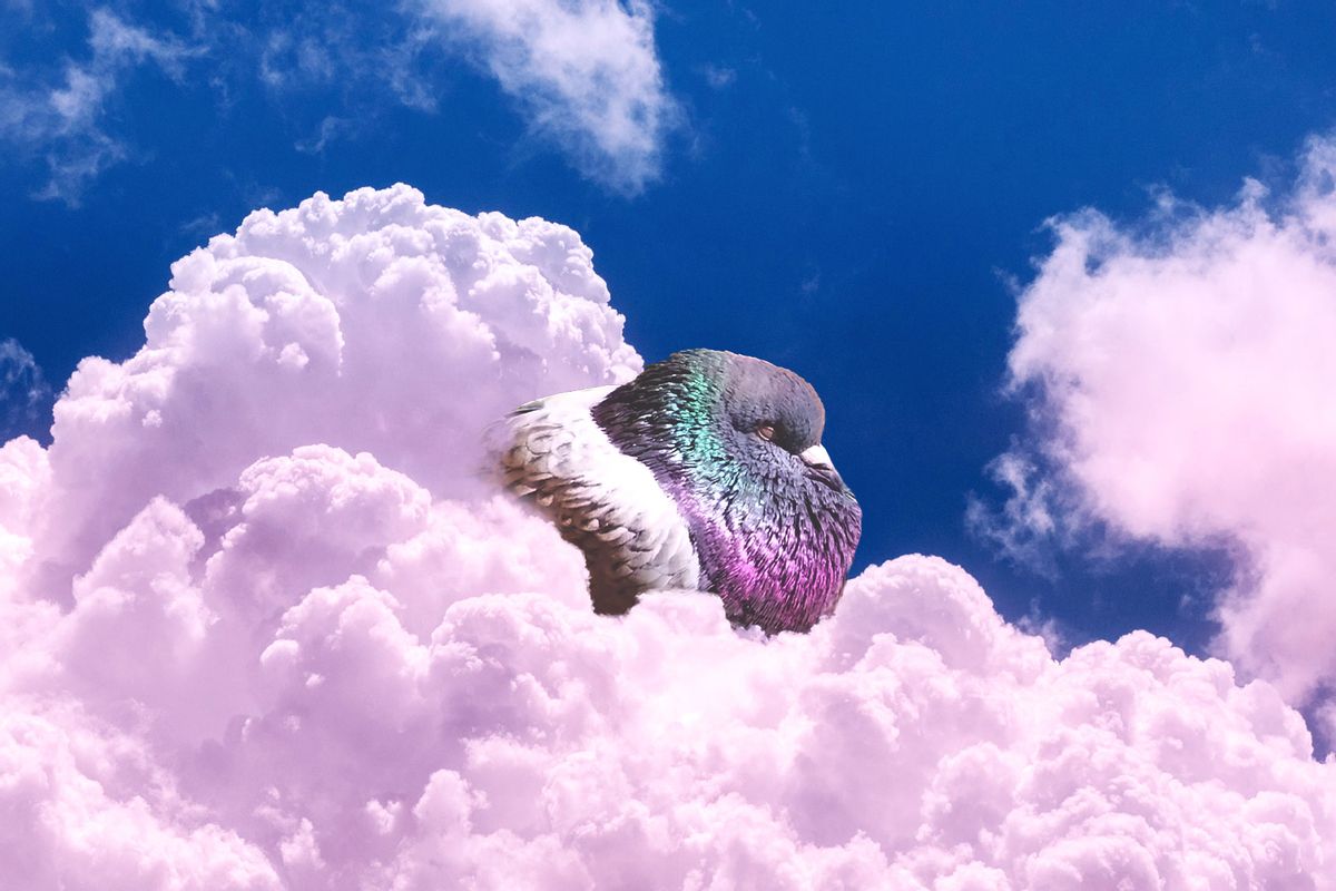 Pigeons seem to dream of flying: New study reveals tantalizing secrets about bird minds