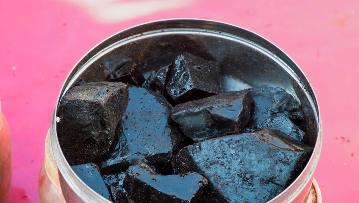 Some think Shilajit is an "elixir of life", but what does the science say?